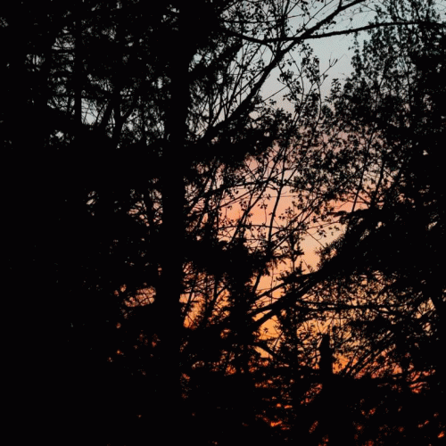 Chagrin (AUS) : Forgotten